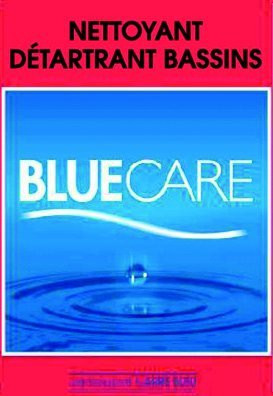 Piscinas Carre Bleu Desincrustante De Suprficies Tratamento De Agua Produtos De Limpe Piscinascasapena